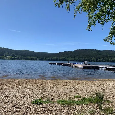 別荘 Nase Lipno *