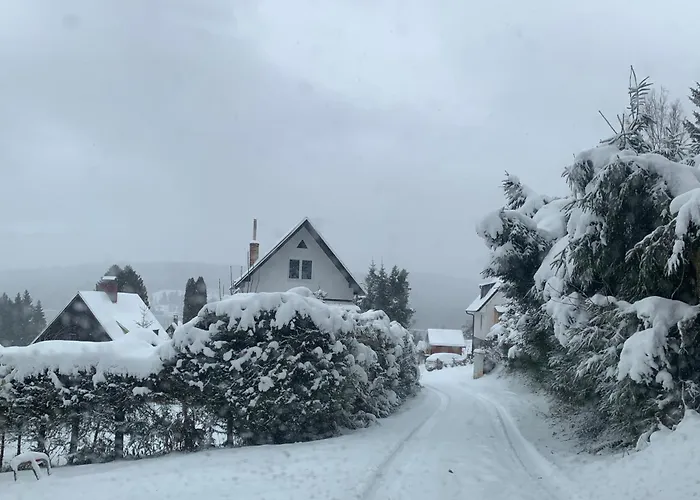 بيت للعطل Nase Lipno ليبنو ناد فلتافو